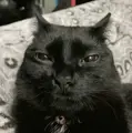 10194