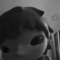 10236