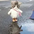 10359