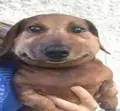 10389