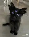 10397